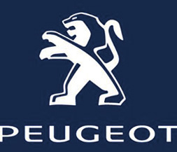 2017東風(fēng)標(biāo)致5008發(fā)布會(huì)無(wú)線覆蓋